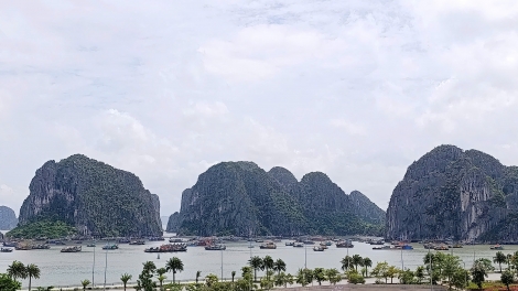 Theo dòng thời sự sáng 5/6/2026