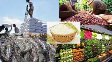 Hà Nội công bố 12 thủ tục hành chính lĩnh vực nông nghiệp và phát triển nông thôn