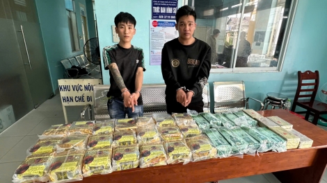 Hàng trăm cảnh sát bắt hơn 400 người trong chuyên án ma túy