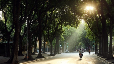 Dự báo thời tiết ngày 11/8/2026: Bắc Bộ tiếp tục nắng nóng, có nơi trên 38 độ C