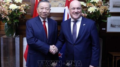 Bản tin 15h 13/8/2026