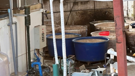 Cơ sở chế biến chân gà lén lút hoạt động sau hai lần bị yêu cầu tạm dừng