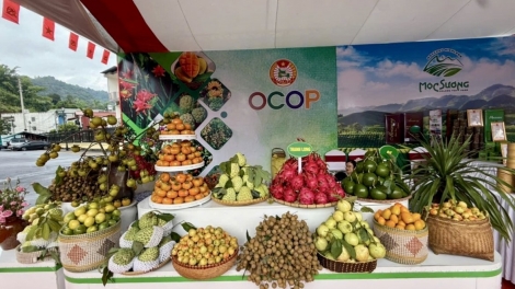 Đưa OCOP vươn xa bằng công nghệ
