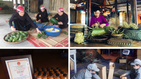 Phát triển và lan toả sản phẩm OCOP để thực sự thành động lực phát triển kinh tế vùng miền