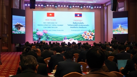 Bản tin 15h 23/10/2026