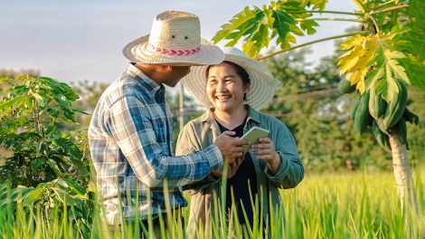 Nông dân chủ động chuyển đổi số