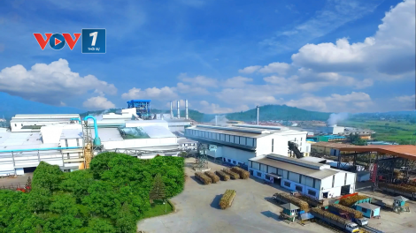 Gia Lai sắp có nhà máy ethanol  1.700 tỷ đồng