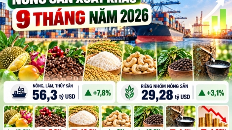 Tập trung nguồn lực đạt mục tiêu xuất khẩu nông sản