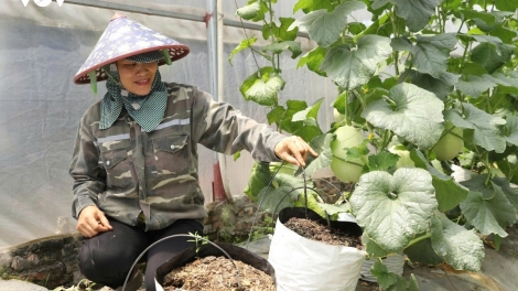Để chuyển đổi số thực sự đến với nhà nông