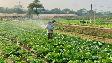 Khuyến nông cùng Jica giúp nông dân thay đổi theo tư duy thị trường