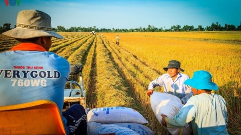 Giải pháp cân bằng thị trường lao động đang thiếu hụt tại đồng bằng sông Cửu Long (9/10/2019)