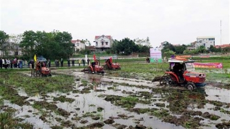 Tinh thần sản xuất đầu xuân ở vùng quê cách mạng  (6/2/2020)