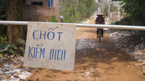 Hà Nội: Không để dịch gia cầm ở xã Phú Nghĩa, Chương Mỹ, lây lan diện rộng (19/2/2020)