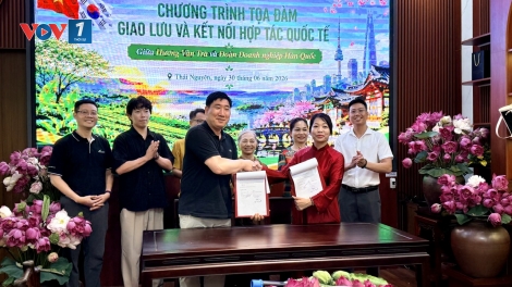 Thái Nguyên: Khi "Đệ nhất danh trà" làm đại sứ văn hóa, ẩm thực và du lịch