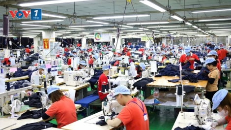 Standard Chartered nâng dự báo tăng trưởng GDP Việt Nam lên 9,5%