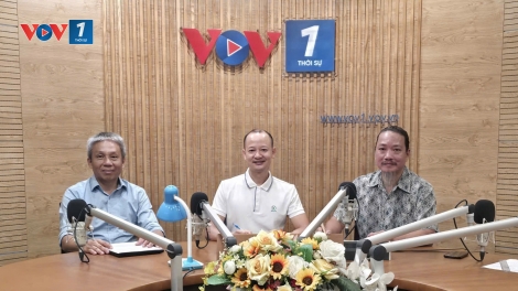 Phát triển thị trường giao dịch các-bon trong nước, thúc đẩy tăng trưởng kinh tế xanh và bền vững