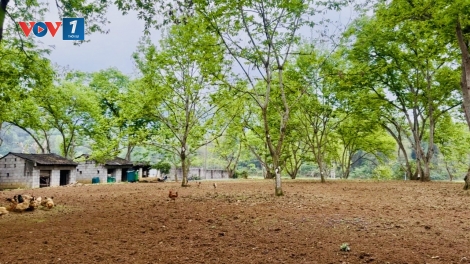 Xây dựng chuỗi giá trị cho nông sản bản địa