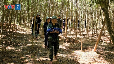Quảng Trị tìm thấy 3 hài cốt liệt sĩ tại Bãi Dinh, xã Dân Hóa