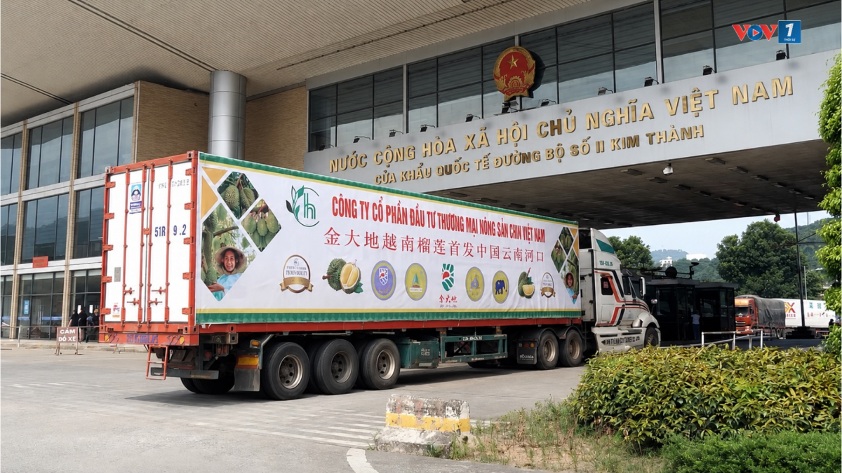 Kim ngạch xuất nhập khẩu qua các cửa khẩu Lào Cai trong 6 tháng đầu năm 2026 tăng hơn 60% so với cùng kỳ năm trước.