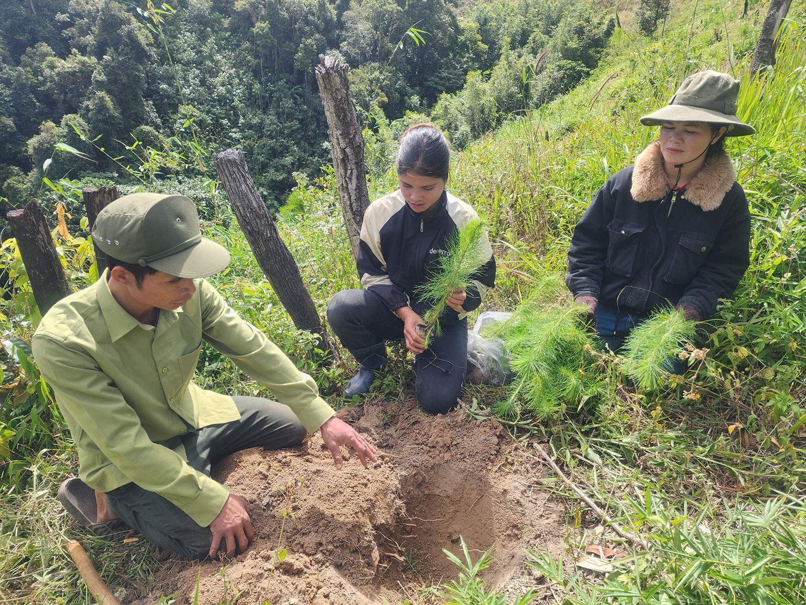 Anh A Linh hướng dẫn người dân làng Đăk Ka, xã Tu Mơ Rông, huyện Tu Mơ Rông, tỉnh Kon Tum trồng rừng