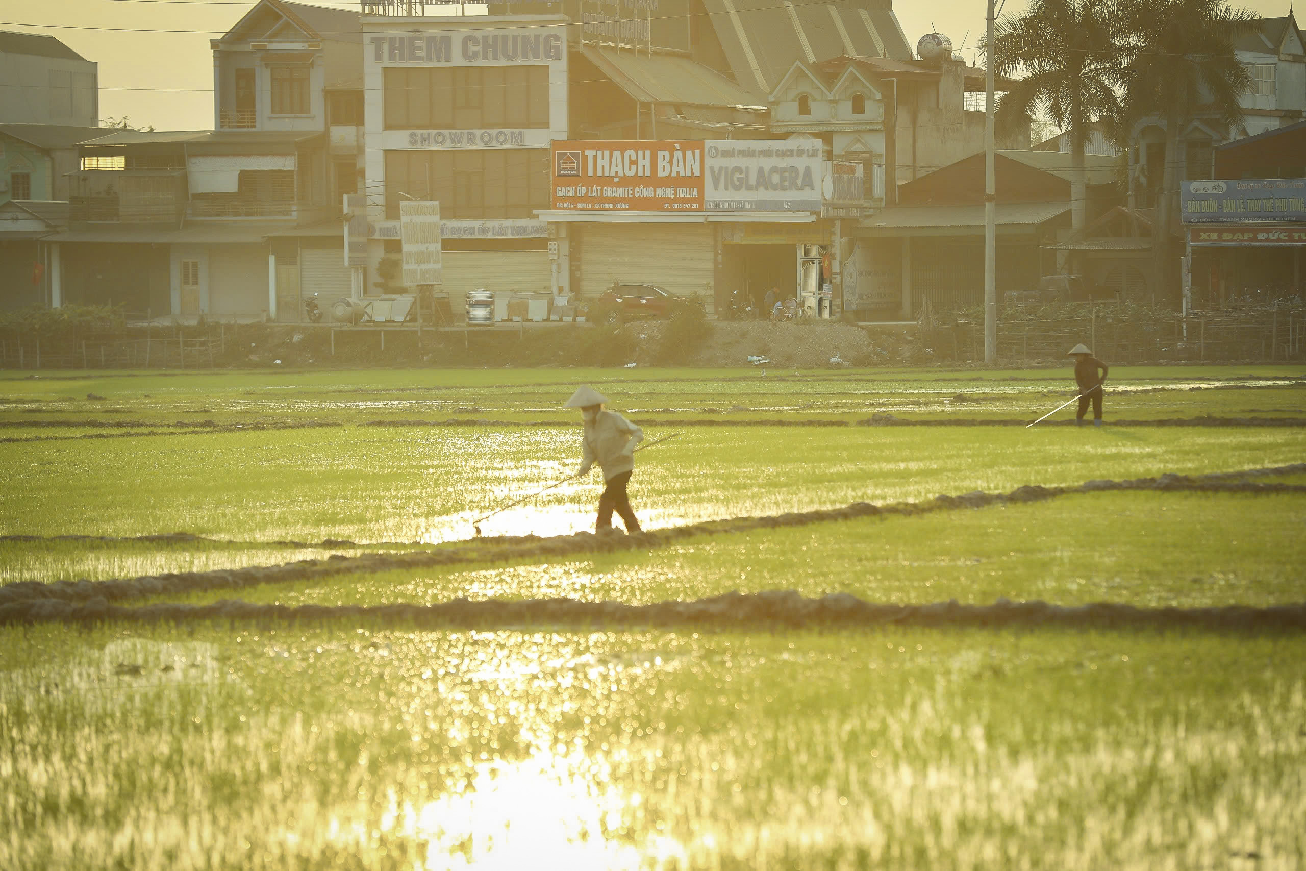 Cánh đồng Mường Thanh không chỉ là vựa lúa trù phú, mà còn gắn với lịch sử, truyền thuyết văn hoá dân tộc Thái.


Vũ Lợi/VOV Tây Bắc
 