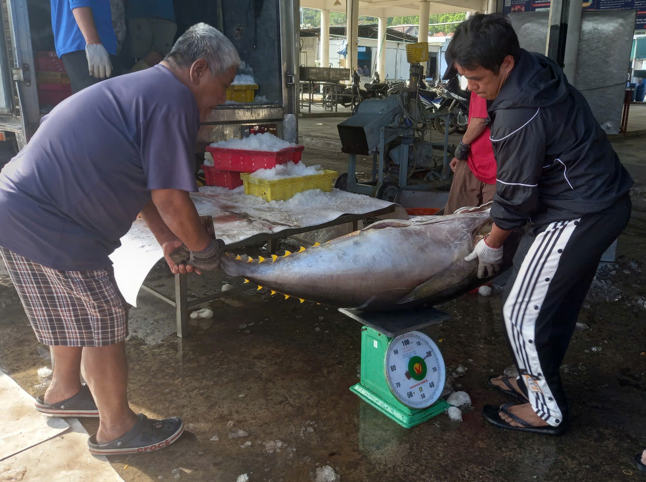 Ngư dân tỉnh Khánh Hòa bám biển Trường Sa khai thác, cung cấp nguyên liệu thủy sản xuất khẩu