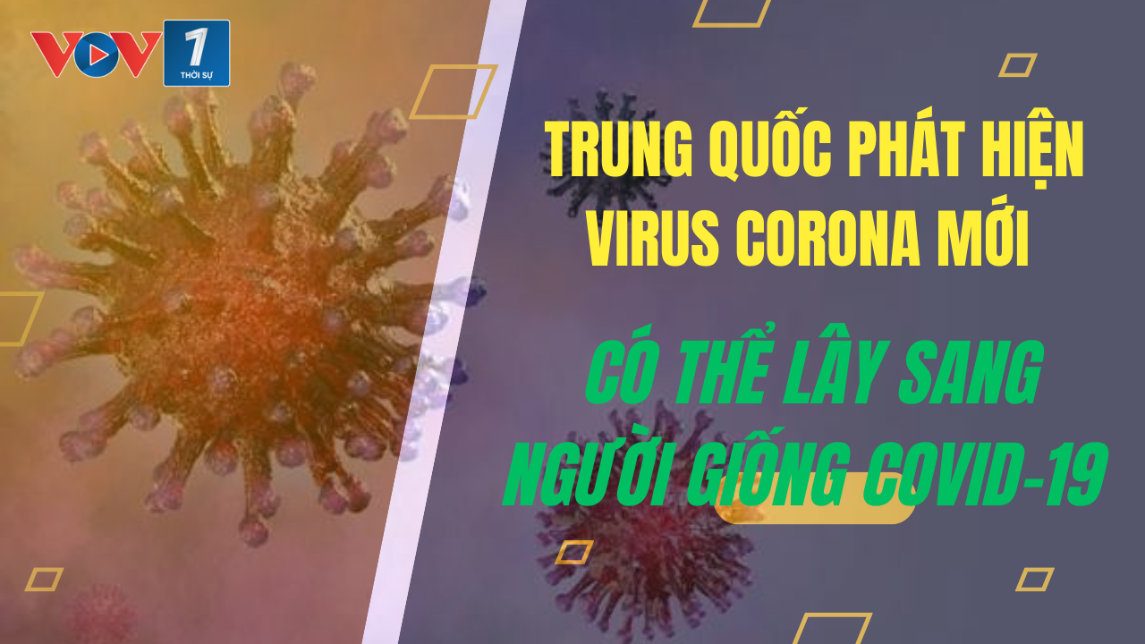 Phát hiện virus corona mới có thể lây sang người giống COVID-19