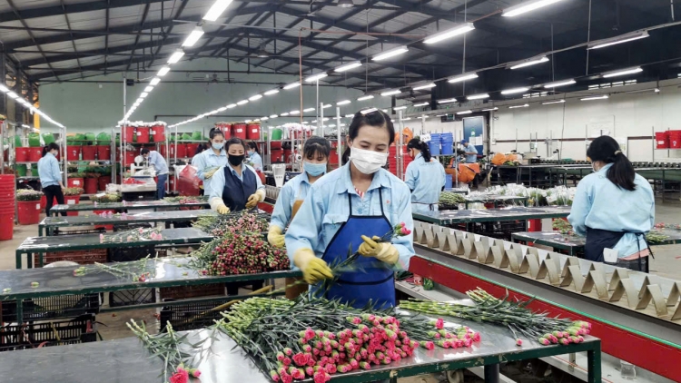 Lâm Đồng xây dựng thương hiệu để thúc đẩy sản xuất và xuất khẩu nông sản