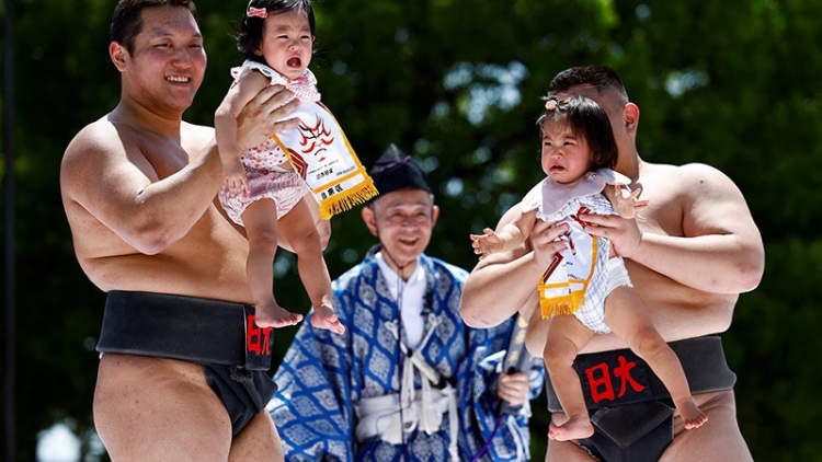 Độc đáo lễ hội "sumo khóc" ở Nhật Bản 