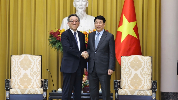 Chủ tịch nước Lương Cường tiếp Bộ trưởng Ngoại giao Hàn Quốc Cho Tae-yul