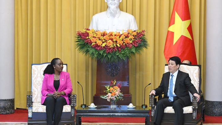 Chủ tịch nước Lương Cường tiếp Bộ trưởng Quốc phòng Kenya Soipan Tuya