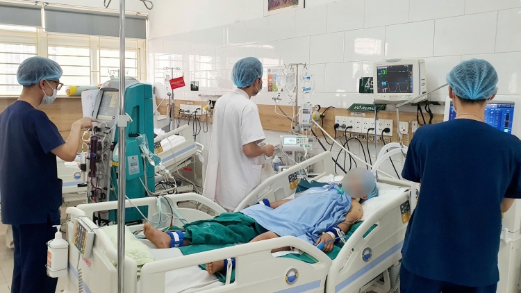 Hái nấm rừng về ăn, 2 vợ chồng hôn mê sâu, tổn thương và suy đa tạng (19/04/2025)