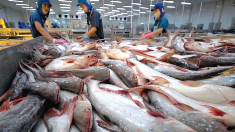 Xuất khẩu nông lâm sản, thủy sản cần làm gì trước áp lực thuế quan của Mỹ (27/04/2025)