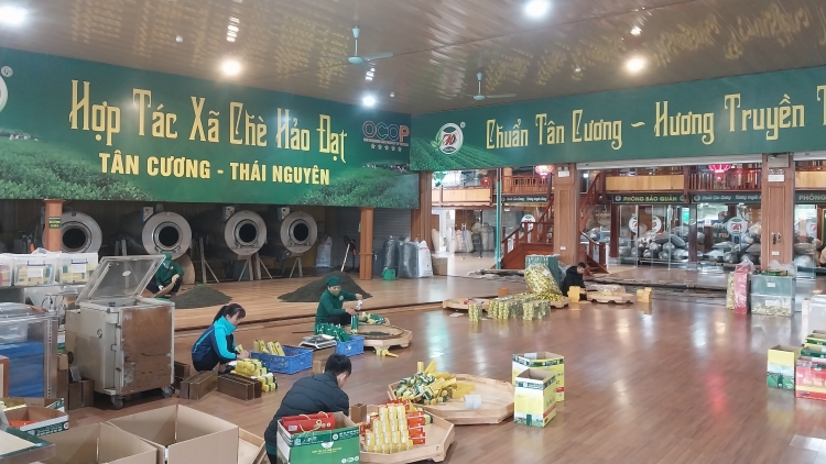 Thái Nguyên: Phát triển kinh tế bền vững bằng sản phẩm OCOP