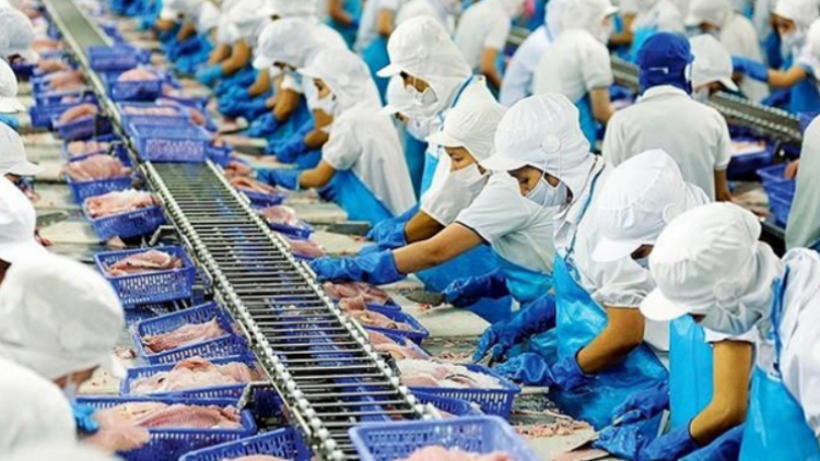Thời sự 6h 25/4/2025: Lần đầu tiên Việt Nam đứng thứ 4 đối tác xuất khẩu thủy sản vào Singapore