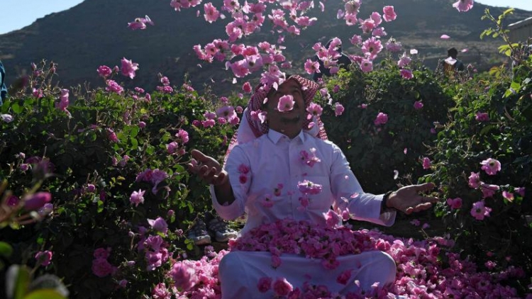 Khám phá "Thành phố hoa hồng" ở Saudi Arabia