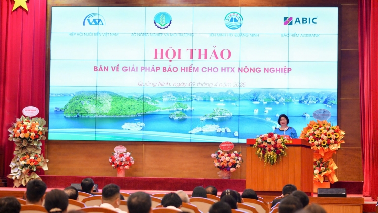 Bảo hiểm Agribank đề xuất mô hình bảo hiểm tổng thể cho HTX Quảng Ninh