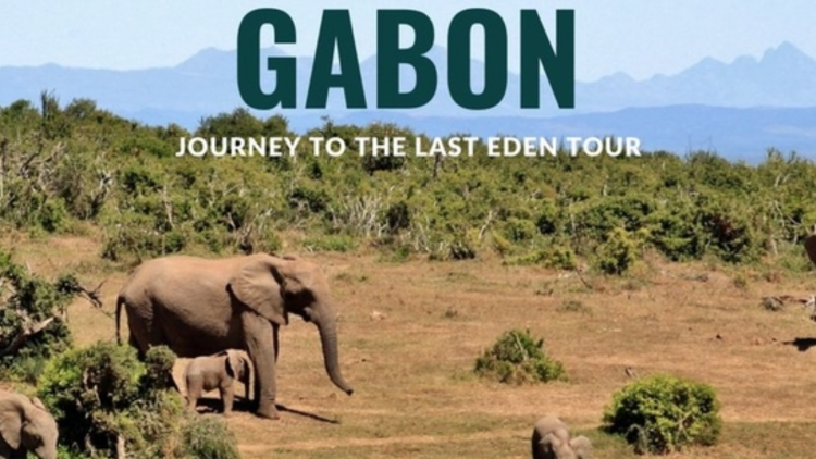 Gabon: "Vườn địa đàng" cuối cùng ở châu Phi nỗ lực thu hút du khách quốc tế