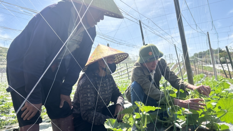 Chuyên gia Nhật Bản đồng hành cùng nông nghiệp bền vững các tỉnh phía Bắc Việt Nam