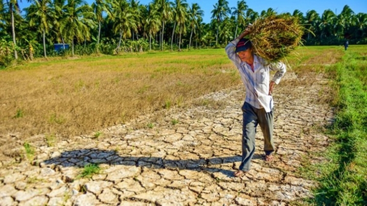 Thời sự 12h 19/4/2025: Nhiều địa phương xuất hiện tình trạng khô hanh hiếm thấy
