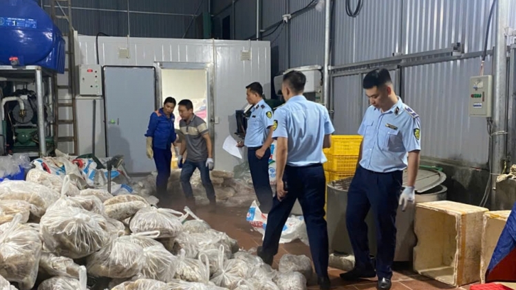 Chi cục quản lý thị trường Hà Nội phát hiện gần 11 tấn thịt và nội tạng bò không rõ nguồn gốc  
