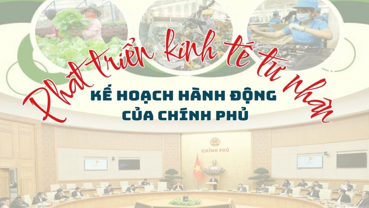 Phát triển kinh tế tư nhân - kế hoạch hành động của Chính phủ