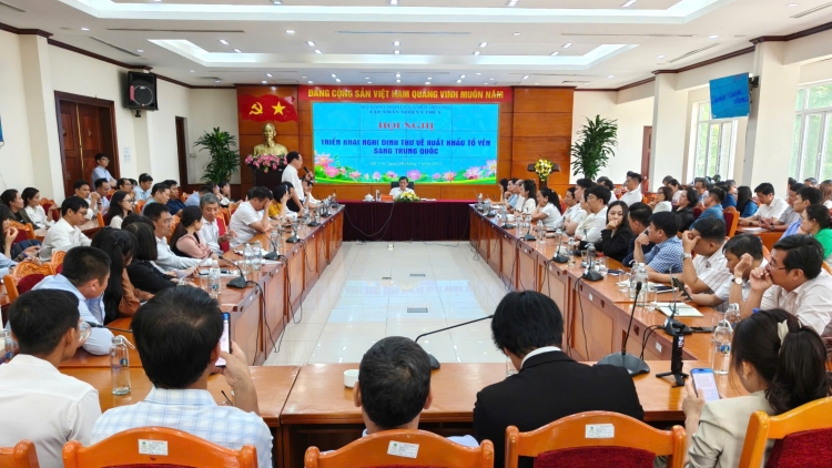 Triển khai hiệu quả Nghị định thư về xuất khẩu tổ yến sang Trung Quốc