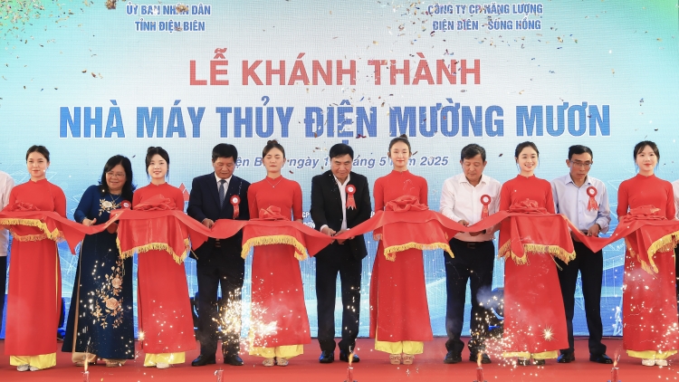 Bản tin 15h 15/5/2025