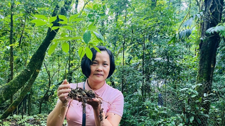 Nhân lực ngành cây trồng dược liệu trong thời đại số