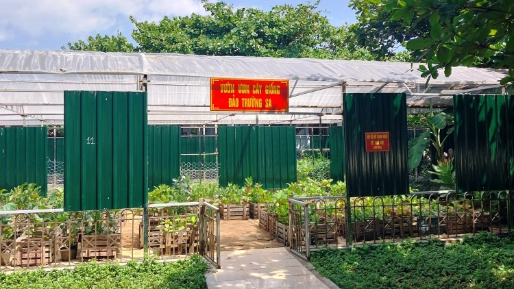 Xanh hóa Trường Sa khát vọng nơi đảo xa (14/5/2025)