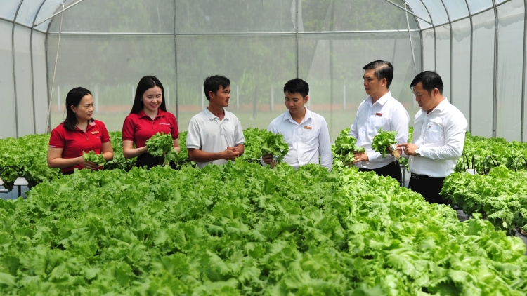Tháo gỡ “nút thắt” pháp lý để bảo hiểm nông nghiệp đến gần hơn với nông dân
