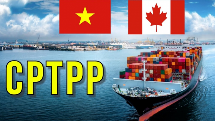 Thương vụ tại nước ngoài –chủ động hỗ trợ doanh nghiệp mở rộng kênh xuất khẩu hàng hoá Việt Nam