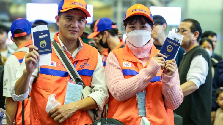 Sáng 5/5 khai mạc Kỳ thi tiếng Hàn năm 2025 
