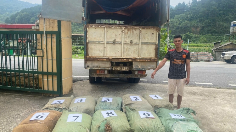 Cao Bằng: Liên tiếp bắt giữ các vụ vận chuyển nguyên liệu thuốc lá không rõ nguồn gốc